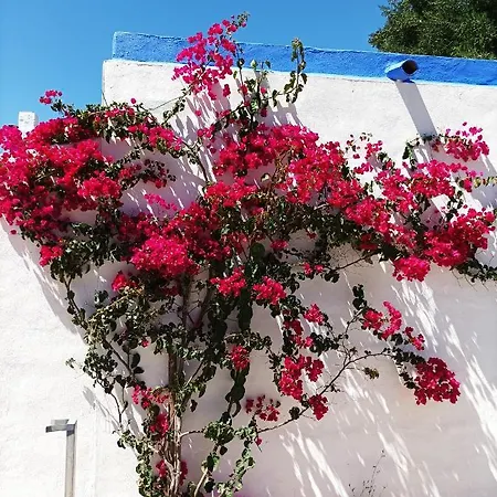 Bed & Breakfast Casa Kilmar
